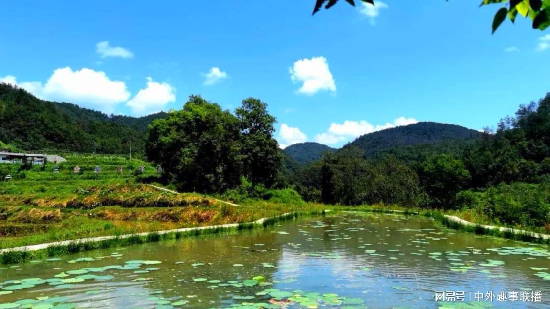 近期竞价推广轻量化搭建您的社群平台:一手货源网站的数据保护措施,同事为了请假已经不择手段了